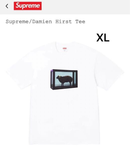supreme Damien Hirst Tee White XL 新品未使用