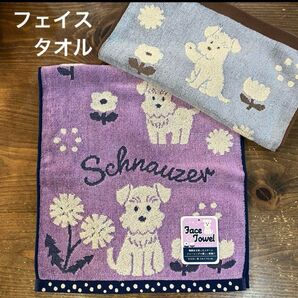 【新品】シュナウザー スチームシャーリングフェイスタオル②2枚セット