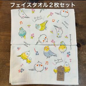 【新品】ガーゼ&無撚糸フェイスタオル セキセイインコ インコ 2枚セット
