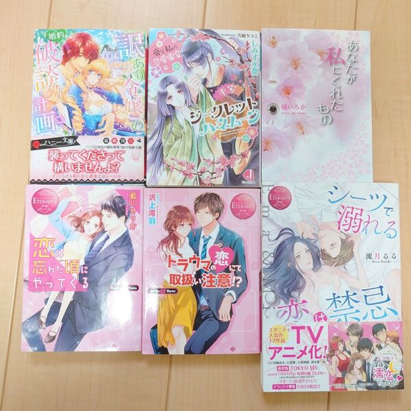 TL小説 6冊セット