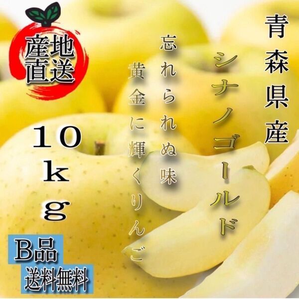" シナノゴールド "【青森県産りんご10kg】【産地直送】【即購入OK】【送料無料】家庭用 りんご リンゴ 林檎