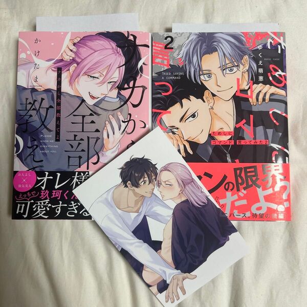 BL新刊 ためしにコマンド言ってみた2 ナカから全部教えてよ かけたま