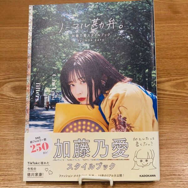 加藤乃愛 かとうのあ ノーマル勘弁。 スタイルブック 写真集