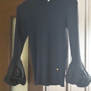 袖バルーンカットソー