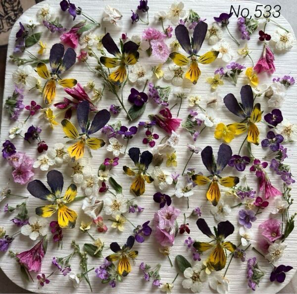 No,533 特小小花ミックス ドライフラワー花材