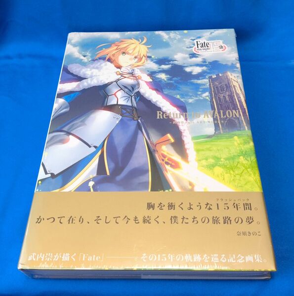 Return to AVALON 武内崇Fate ART WORKS 武内崇/著