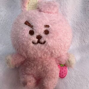 BT21 ビーンドール(フルーツ)COOKY