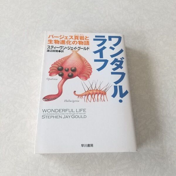 ワンダフル・ライフ バージェス頁岩と生物進化の物語 スティーヴン・ジェイ・グールド ハヤカワ文庫