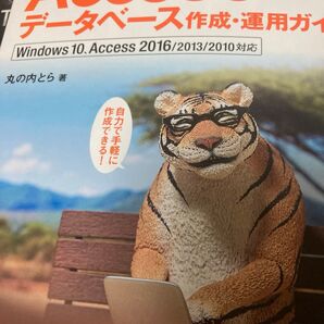 小さな会社のaccessデータベース作成運用ガイド