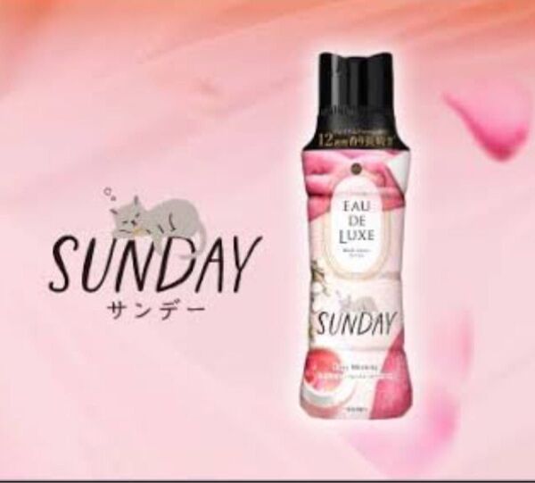 お試し レノアオードリュクス SUNDAY 4パック