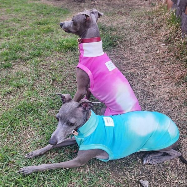 イタグレ服 犬服 ひえひえ クール ベスト 接触冷感 熱中症対策S M L XL 2XL 3XL イタリアングレーハウンド