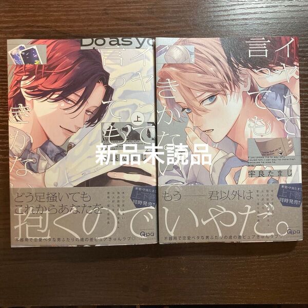 新品未読品 イヤって言ってもきかないで 上下 宇良たまじ