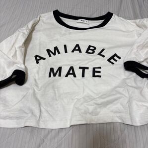 Tシャツ Mサイズ ウィゴー