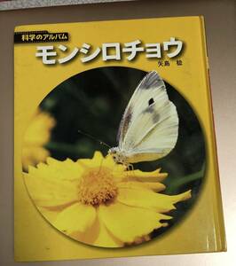 科学のアルバム モンシロチョウ