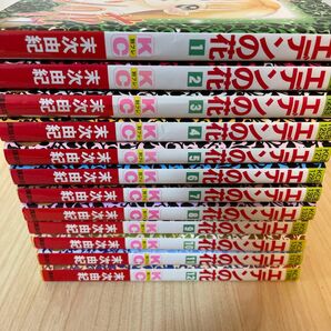 【全巻】エデンの花 1〜12巻 (別フレKC) 末次 由紀 著