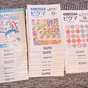SAPIX ピグマシリーズ 1年生