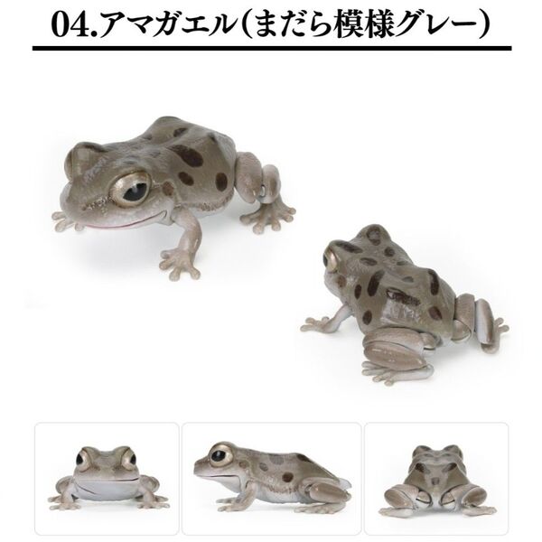 いきもの大図鑑 レプティ アマガエル まだら模様 グレー