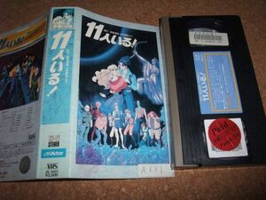 【カビあり】[VHS][送100円～]11人いる! 　//C