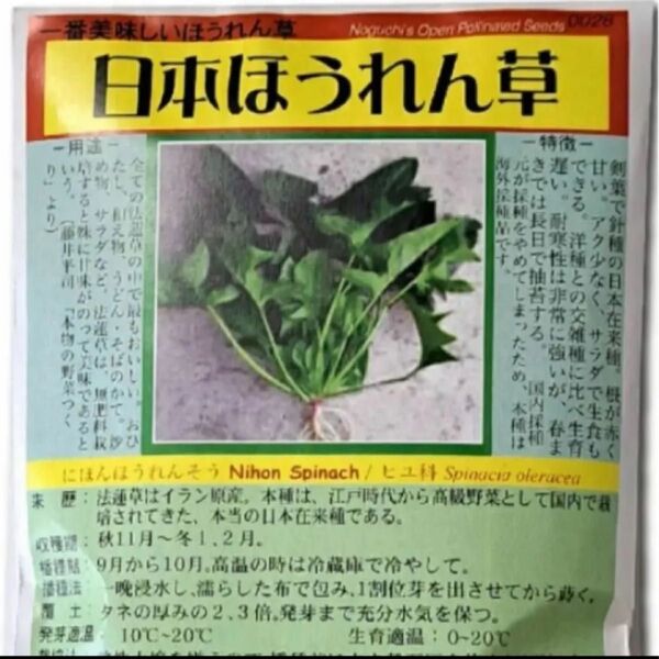 日本ほうれん草種 50粒 在来種 無消毒種子 家庭菜園 プランター栽培 野口種苗