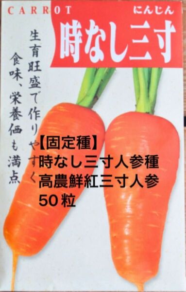 高農鮮紅三寸人参種 50粒 固定種 無消毒種子 野口種苗 時なし人参 家庭菜園 プランター栽培 人参のたね