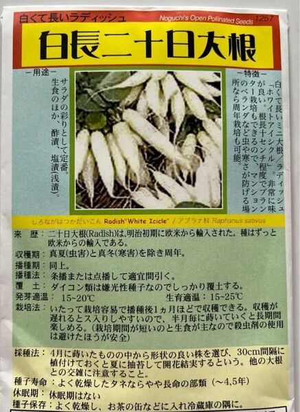 【匿名】固定種 白長二十日大根種 30粒 ホワイトアイシルク 無消毒種子 家庭菜園 プランター栽培 コンパニオンプランツ