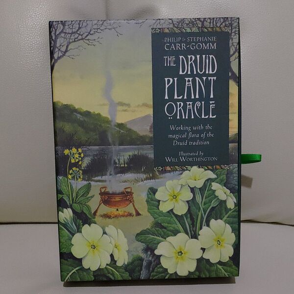 DRUID PLANT ORACLEタロットカード