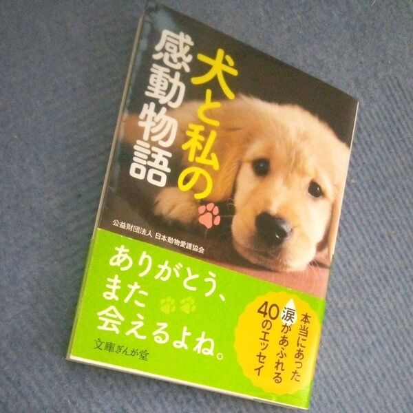 ◎美本◎犬と私の感動物語 (文庫ぎんが堂 に5-1) 日本動物愛護協会/編