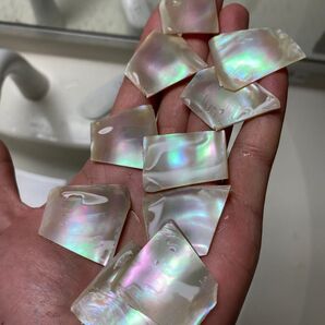 夜光貝 スライス 10枚セット 厚み1mm前後