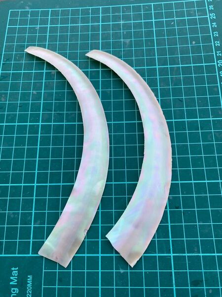 夜光貝 スライス 3枚セット 螺鈿細工 ハンドクラフト ハンドメイド 素材