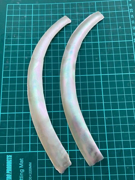 夜光貝 スライス 2枚セット 螺鈿細工 ハンドクラフト ハンドメイド 素材