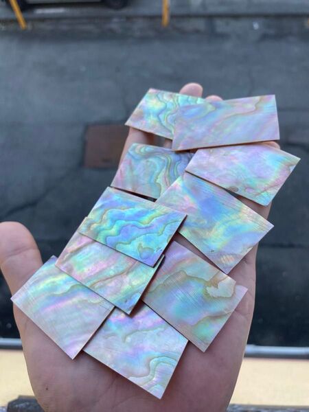 イケチョウ貝 10枚セット 螺鈿細工 ハンドクラフト ハンドメイド 素材