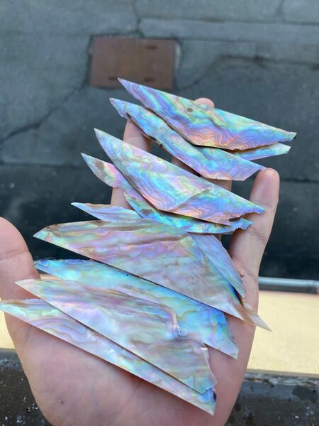 イケチョウ貝 10枚セット 螺鈿細工 ハンドクラフト ハンドメイド 素材