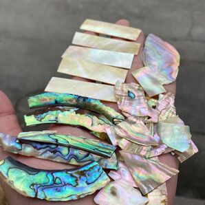 螺鈿細工 ハンドクラフト 素材 まとめセット アバロン貝、アワビ貝、白蝶貝、イケチョウ貝、夜光貝