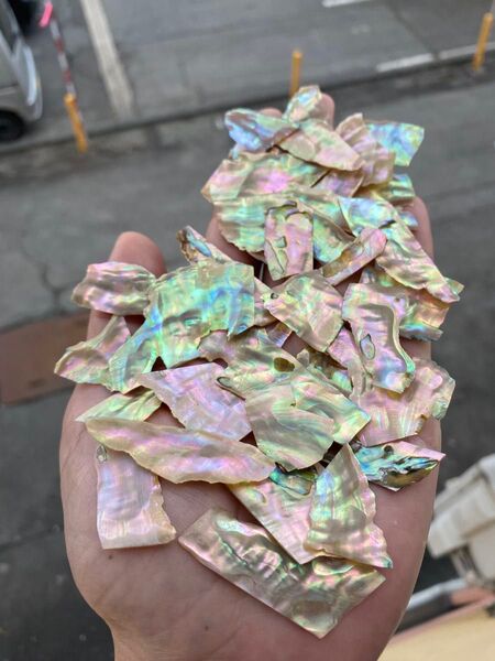 アワビ貝 沖縄県産 アワビ貝 25gセット 螺鈿細工 ハンドメイド ハンドクラフト 素材