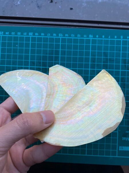 白蝶貝 3枚セット 螺鈿細工 ハンドメイド ハンドクラフト 素材