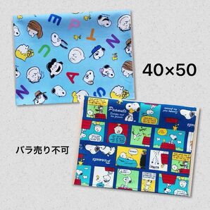 40×50 給食ランチョンマット 大きめ スヌーピー フェイス×コミック 2枚セット