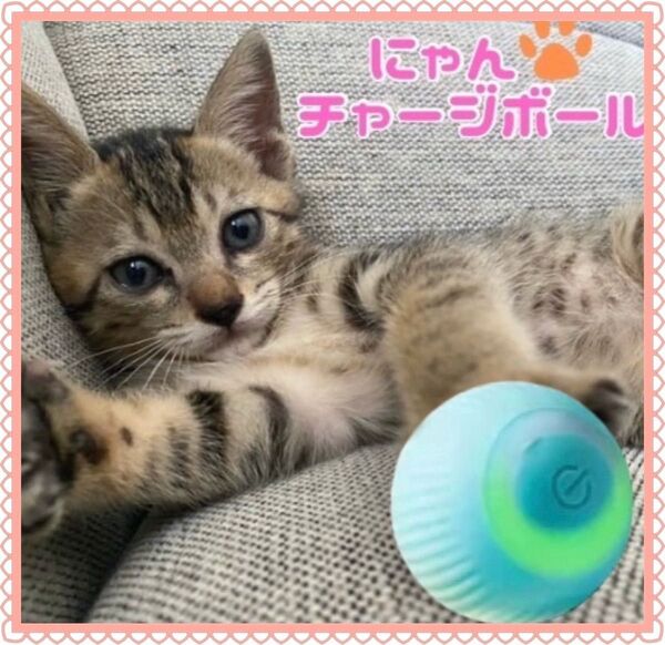 猫 ボール 電動おもちゃボール 自動 ペット 肥満防止 運動 コロコロ