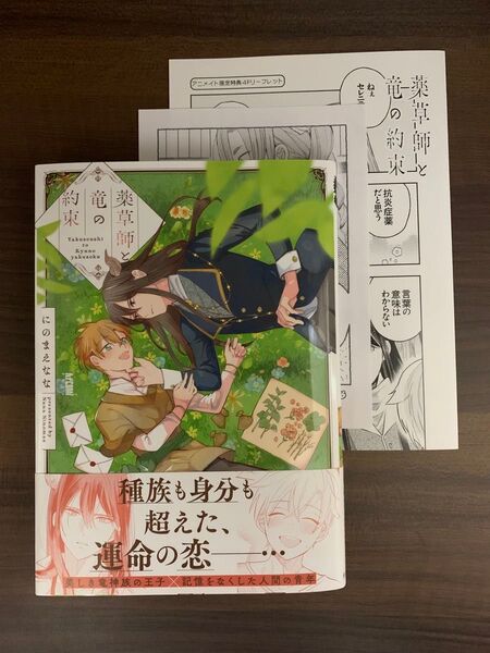 薬草師と竜の約束 (カチCOMI) にのまえなな/著