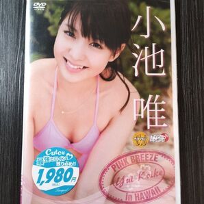【未開封】小池唯 PINK BREEZE in HAWAII ヤングマガジンDVD