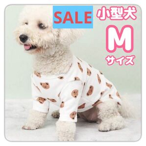 【SALE】 犬服 クマ柄 クマ ベアー 長袖 シャツ トップス 小型犬 ホワイト 白 Mサイズ M