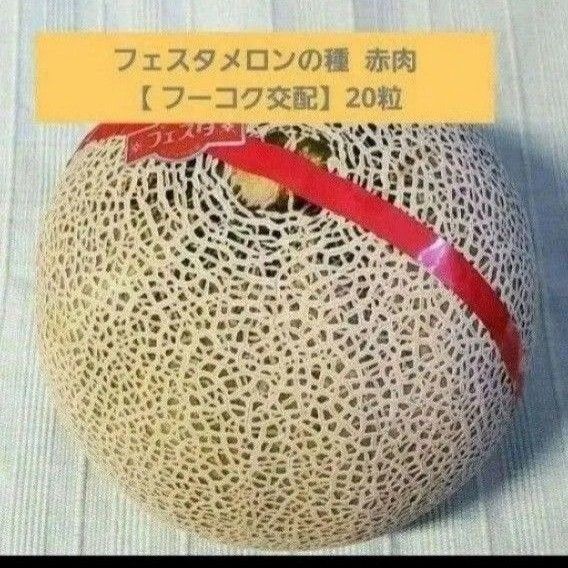 フェスタメロンの種 赤肉【 フーコク交配】20粒