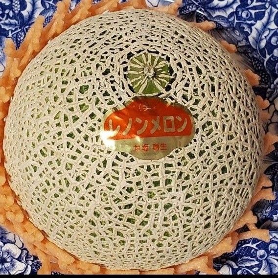 【茨城産】レノンメロンの種 赤肉 20粒