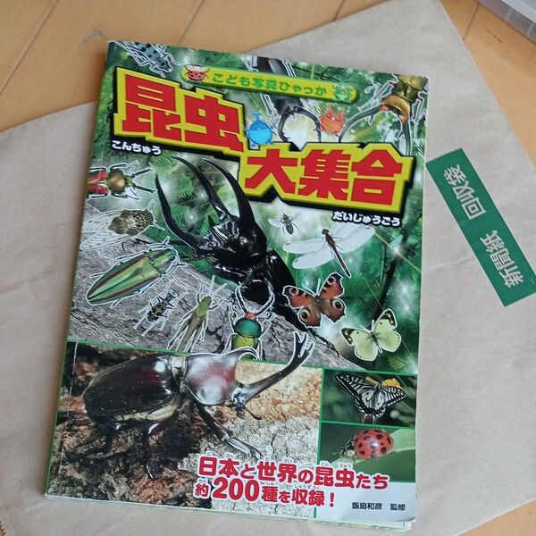 こども写真ひゃっか 昆虫大集合