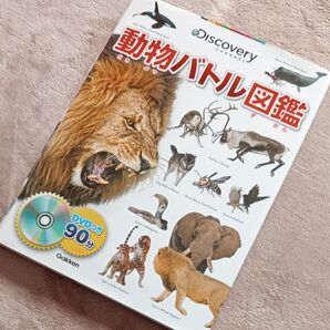 動物バトル図鑑 Discovery CHANNEL 今泉忠明/監修