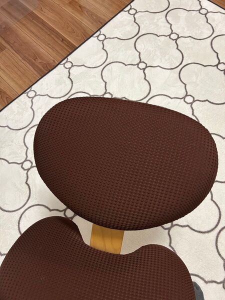 バランスラボ バランスチェア バランスイージー 中古美品