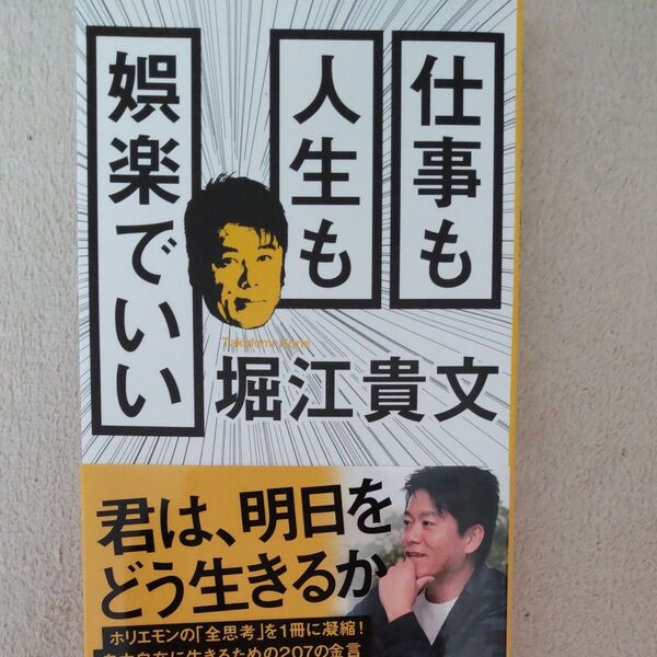 仕事も人生も娯楽でいい (宝島社新書 496) 堀江貴文/著