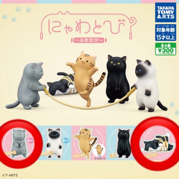 にゃわとび ふたたび
