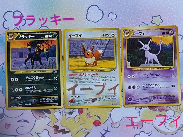 ポケモンカード 旧裏 neoプレミアムファイル2・ブラッキー ・イーブイ ・エーフィ 3枚セット