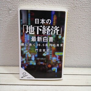 即決!送料無料! 日本の「地下経済」最新白書 闇で蠢く26.5兆円の真実★ 門倉貴史 / SB新書