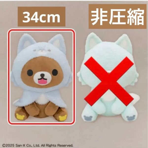 リラックマアオコグのおとまりぬいぐるみ XL チャイロイコグマ 34cm 非圧縮